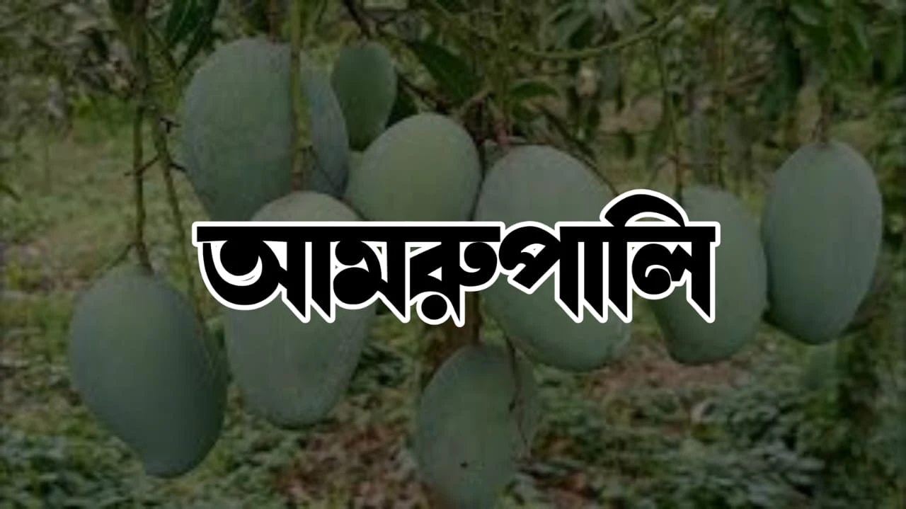 Amrapali