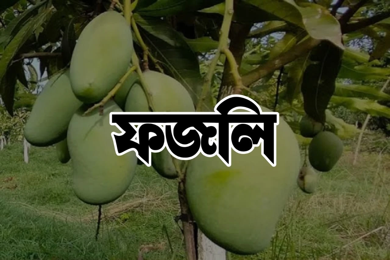 Fazli